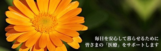 ひかりホームクリニック城東では毎日を安心して暮せるために 皆さまの「医療」をサポートします